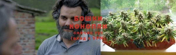 СК Бородино