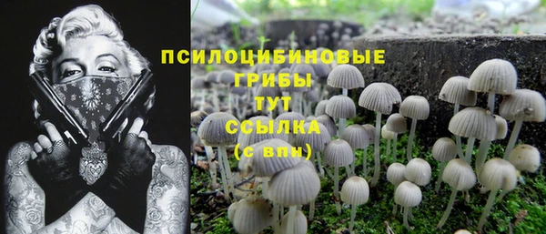 каннабис Богданович