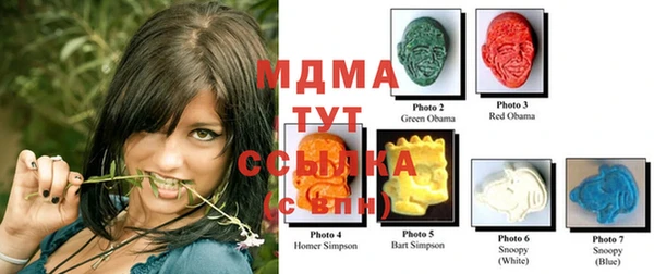 дурь Богородицк